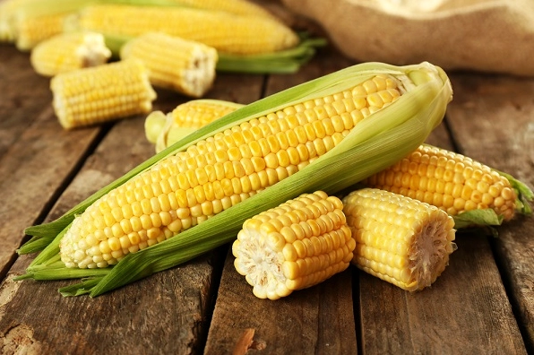 Những bắp ngô vàng ươm tươi ngon được lựa chọn để nấu chè