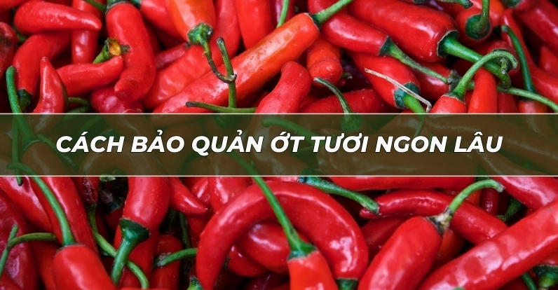 Những quả ớt đỏ tươi mọng nước được xếp ngay ngắn sẵn sàng cho việc bảo quản trong tủ lạnh