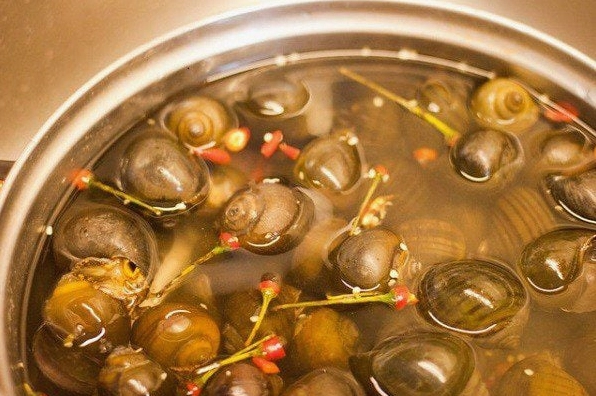 Ốc bươu béo ngập được ngâm rửa sạch sẽ chuẩn bị mang đi chế biến món ngon
