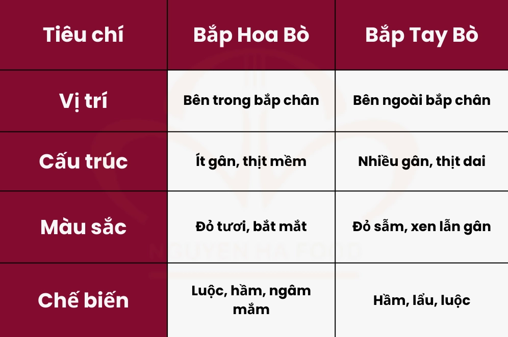 Phân biệt bắp bò hoa và các loại bắp bò khác qua hình dáng và gân