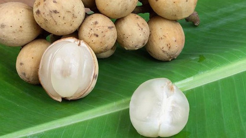 Quả bòn bon có hình tròn vỏ dẻo phần thịt có màu trắng đục bên trong có khoảng 5 đến 6 múi