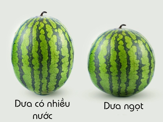 Quả dưa hấu ngon ngọt đỏ au mọng nước cho ngày hè oi bức