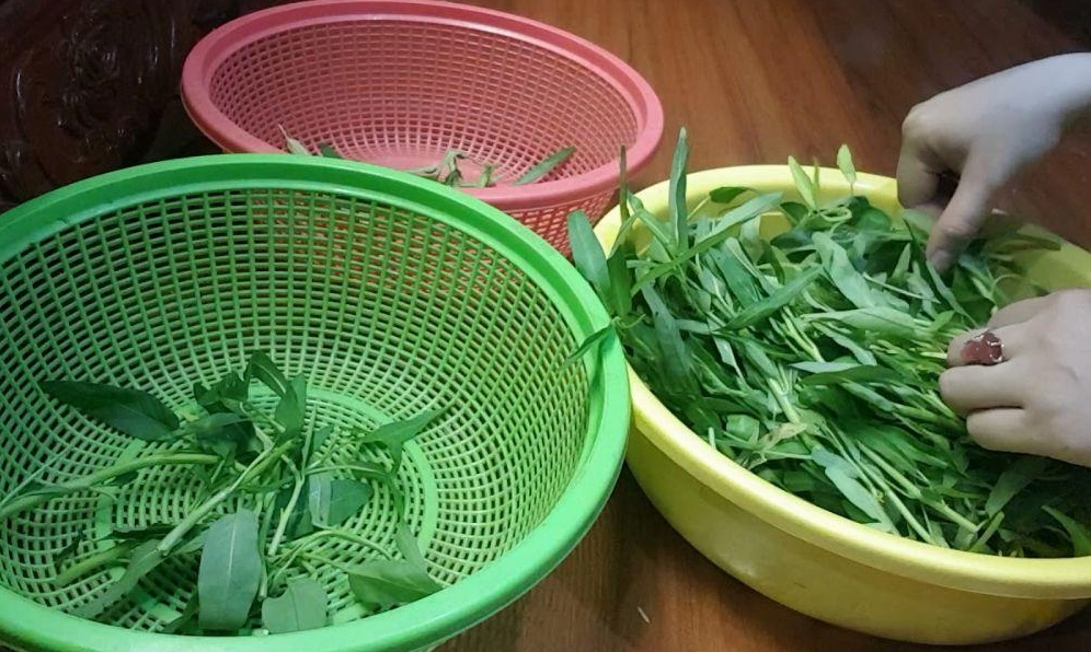 Quá trình nhặt rau muống để loại bỏ cuống già lá vàng phần bị dập nát