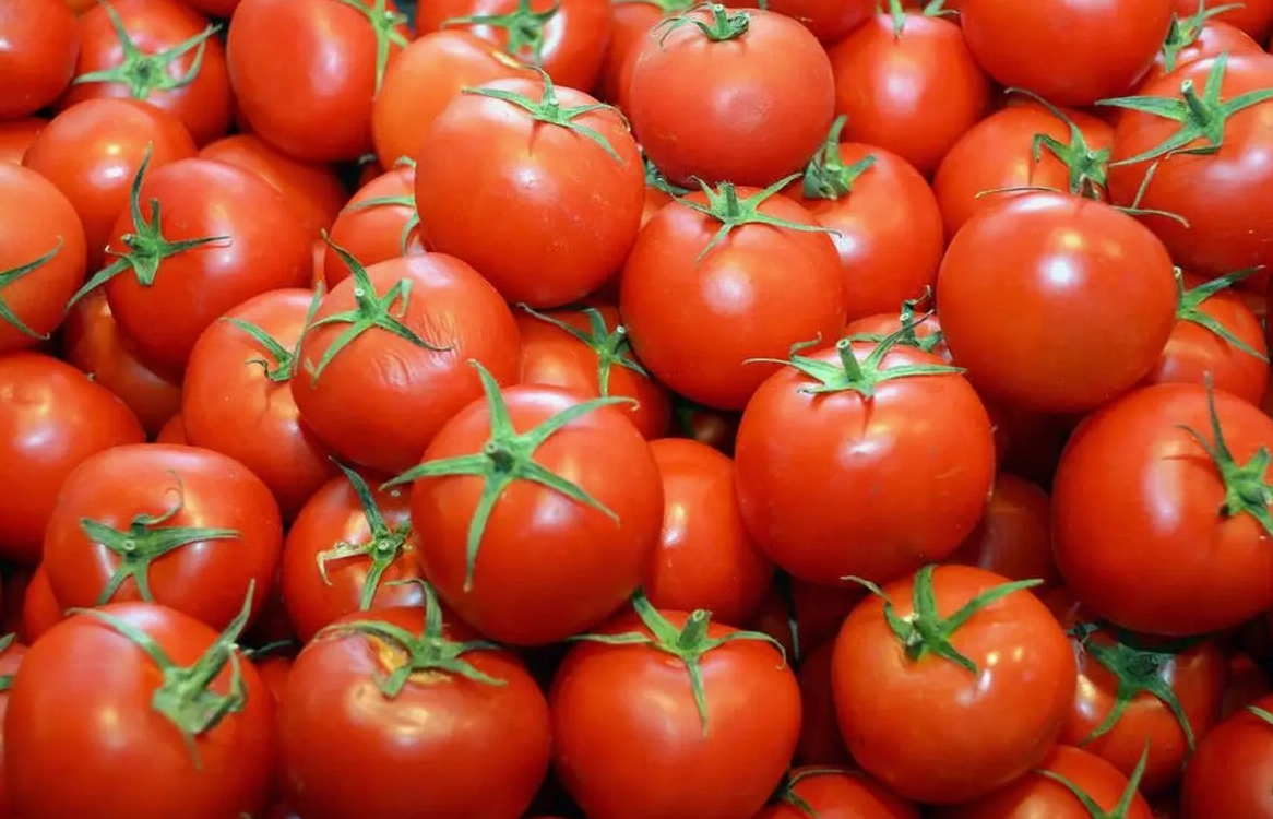 Quan sát phần cuống lá để chọn cà chua vỏ mỏng thịt dày