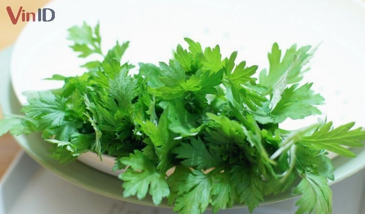 Rau ngải cứu tươi xanh được rửa sạch chuẩn bị cho món hầm
