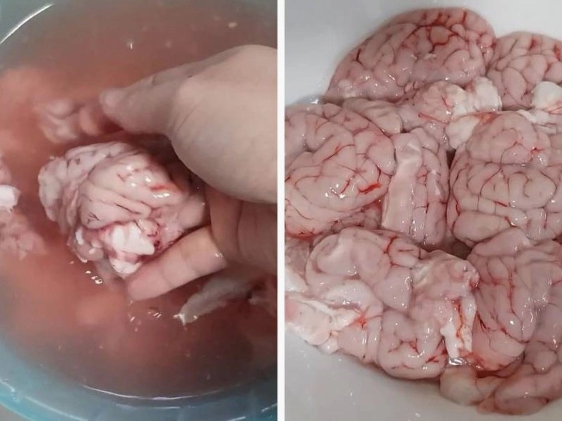 Sơ chế làm sạch óc chim bằng cách gỡ bỏ màng và gân máu đỏ