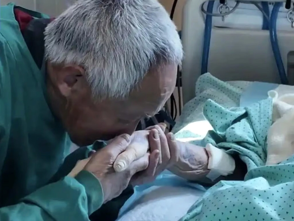Sơ chế và làm sạch thịt rắn kỹ lưỡng