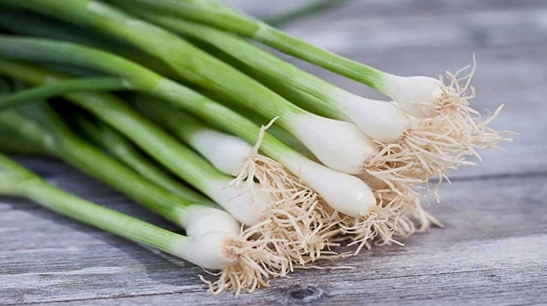 Sự biến đổi nhiều hay ít của cọng hành lá giúp nhận biết độ nguyên chất và độ đậm đặc của mật ong
