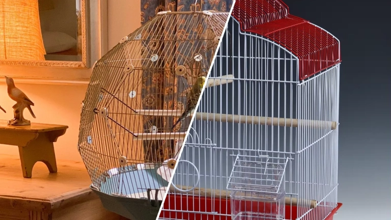Sustainable and eco-friendly bird cages for pet parrots in 2026