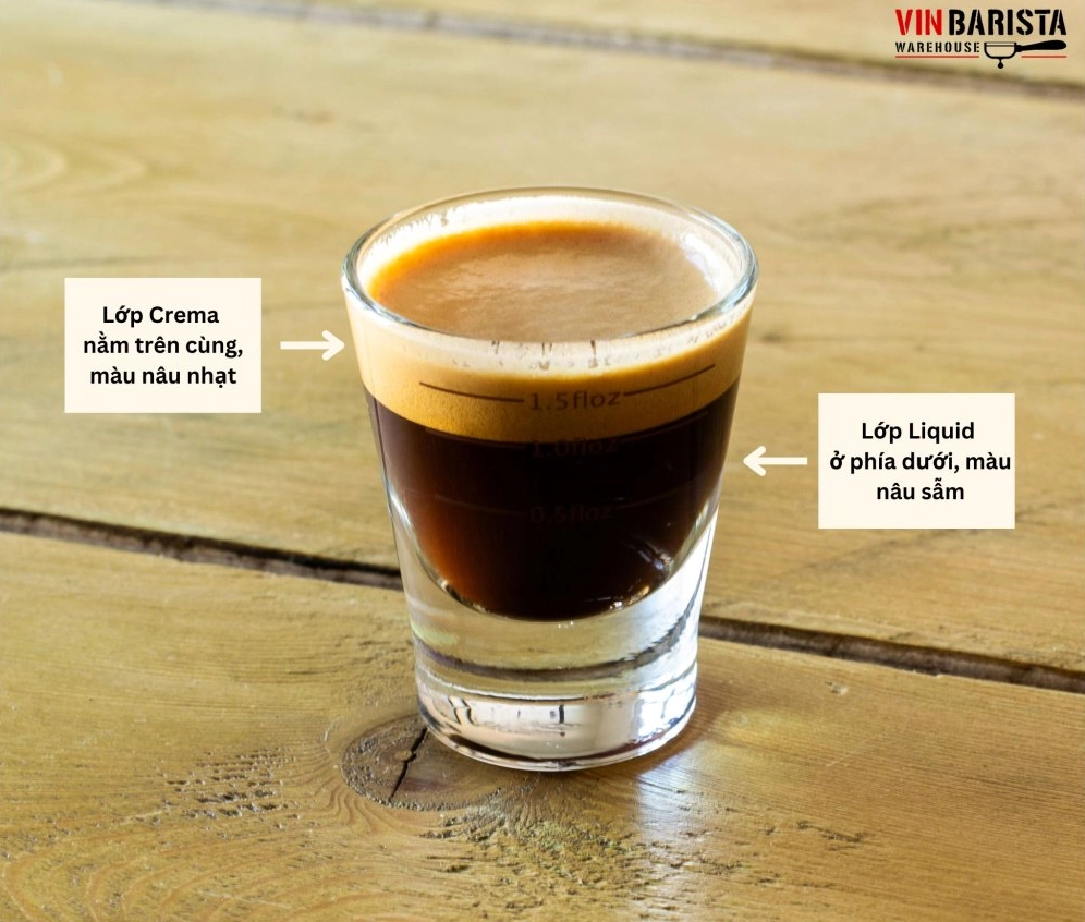 Tách espresso hoàn hảo bao gồm hai phần chính là lớp crema béo ngậy và phần chất lỏng đậm đà