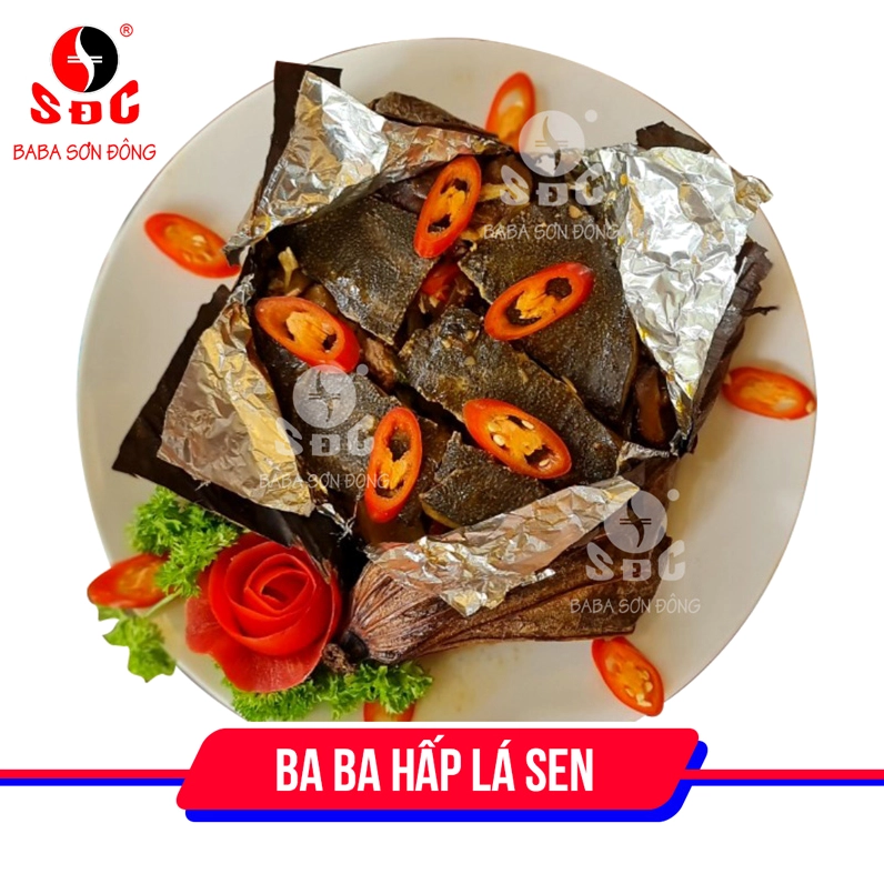 Thành phẩm đĩa ba ba hấp lá sen thơm lừng hấp dẫn