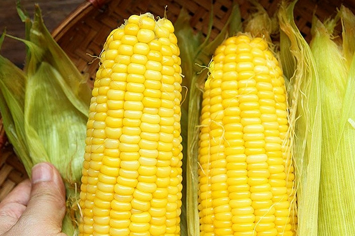 Thành phẩm ngô luộc vừa ngọt lại mềm vô cùng hấp dẫn