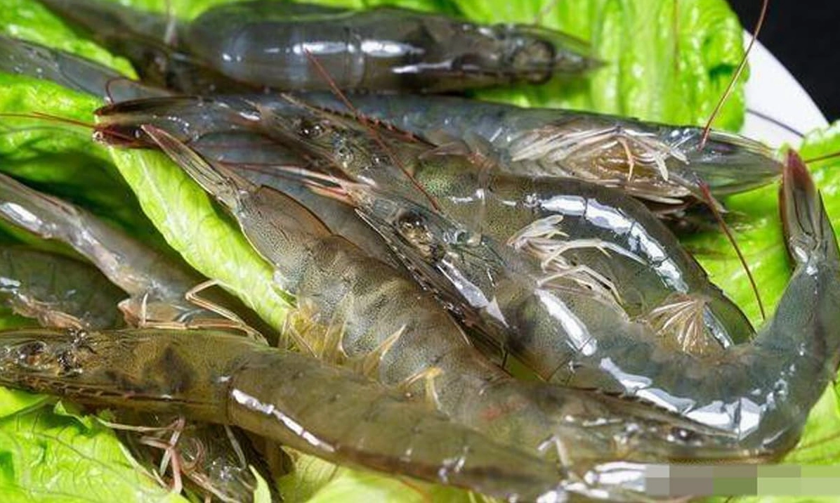 Thành phẩm tôm hấp luộc thơm ngon dẻo ngọt