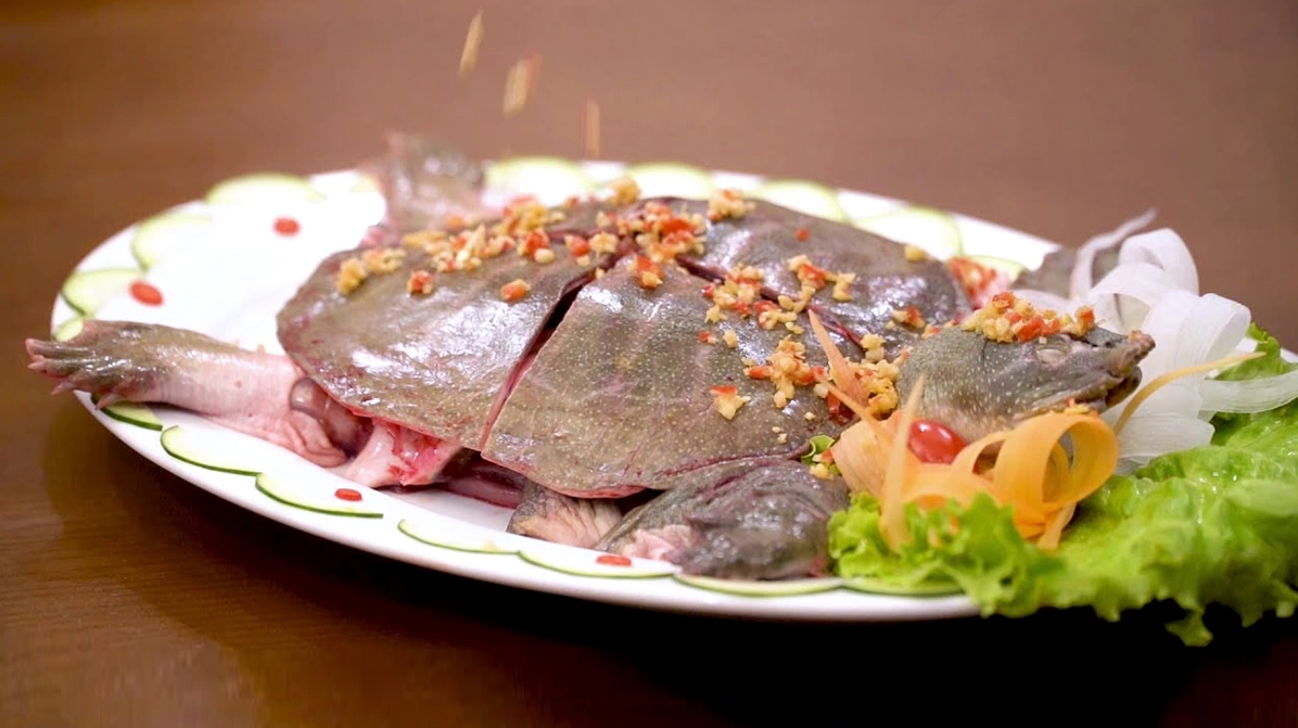 Thịt ba ba tươi ngon săn chắc chuẩn bị nấu lẩu