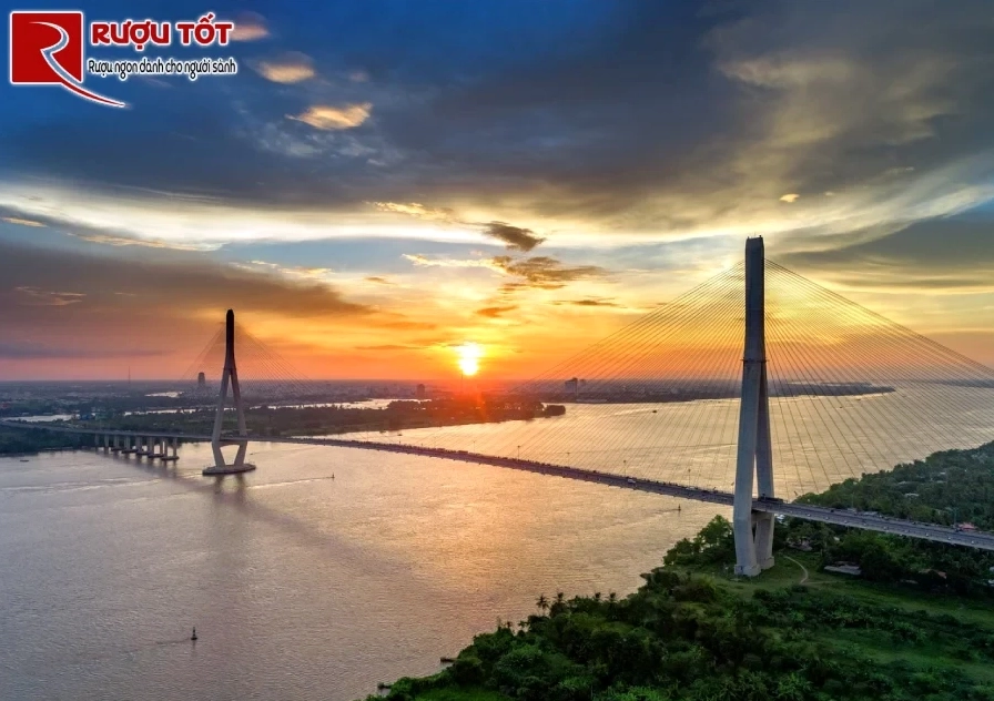 Thưởng thức ba ba hầm cùng một ly rượu ngon