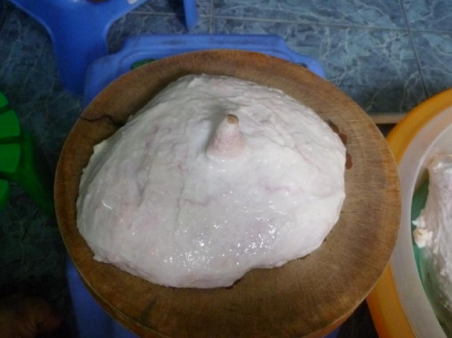 Vú heo được thái mỏng vừa ăn chuẩn bị đem ướp gia vị